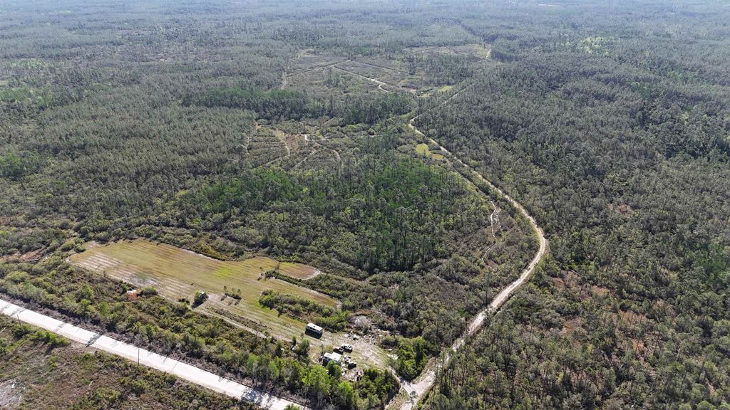 Photo of 0000 Madison Main Line Road, Greenville, FL 32331 (MLS # 398840)