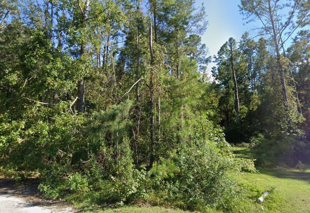 Photo of Roger Hamlin Road, Tallahassee, FL 32311 (MLS # 399103)