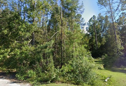 Tiny photo for Roger Hamlin Road, Tallahassee, FL 32311 (MLS # 399103)