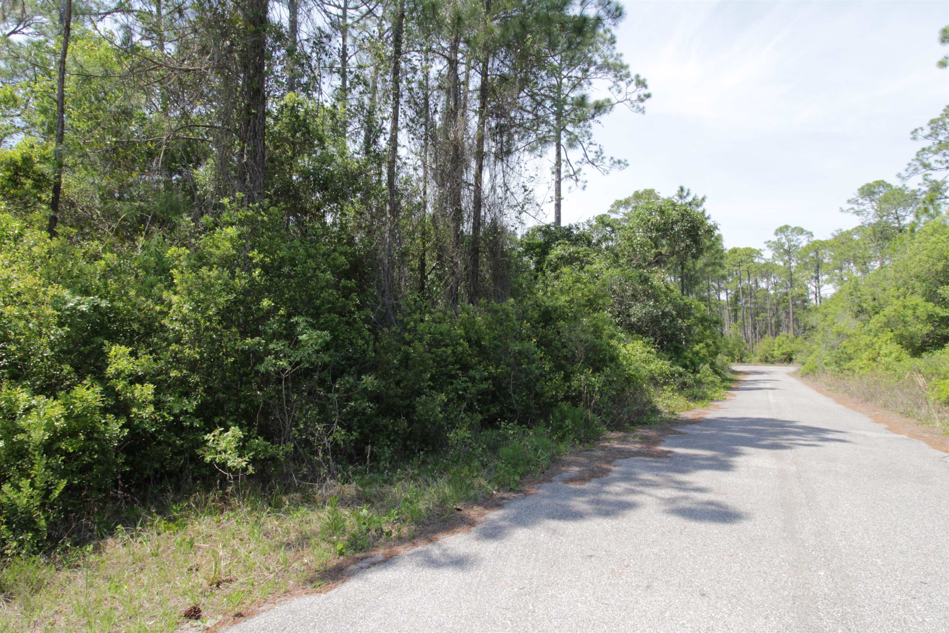 146 Bay Magnolia Court
