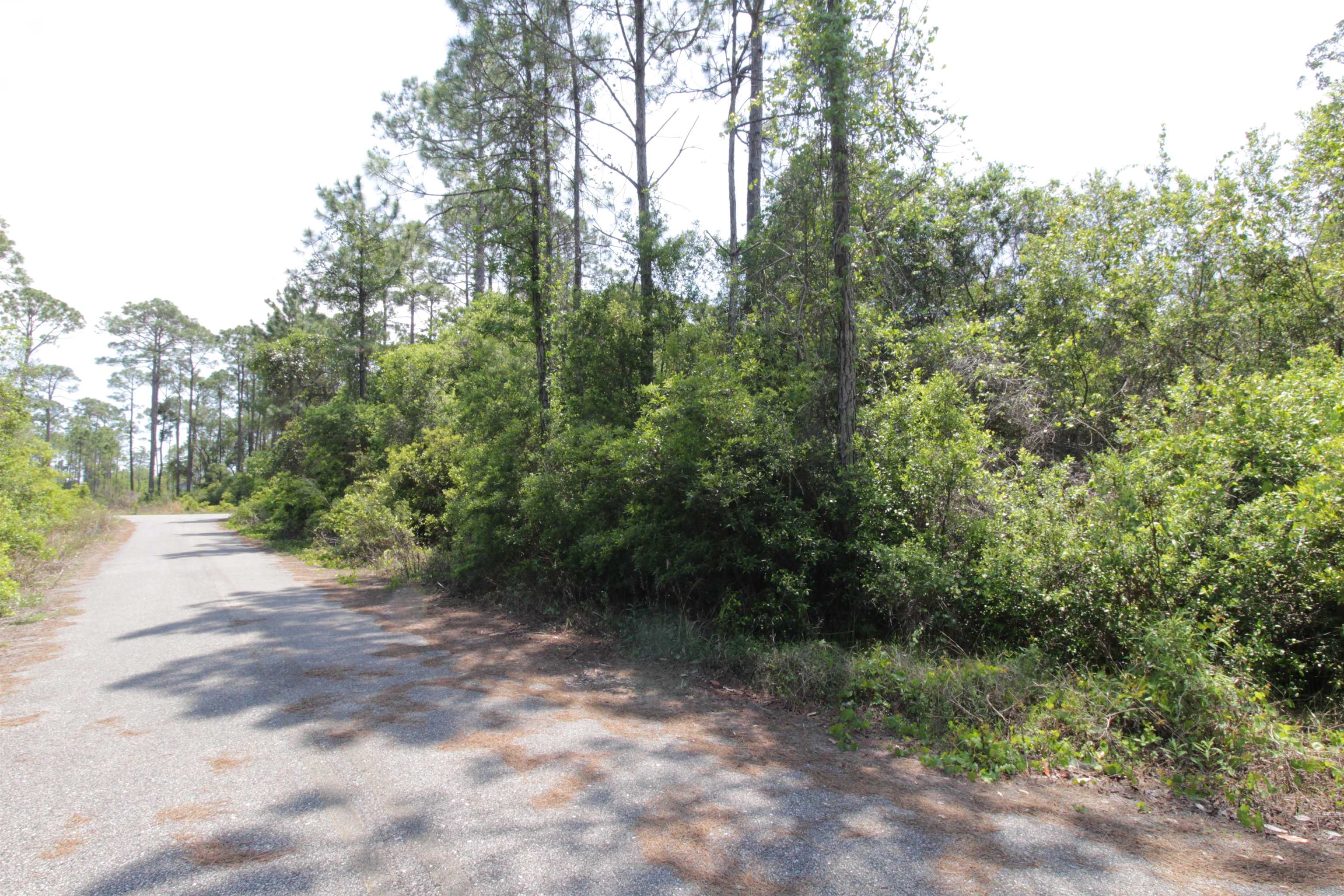 146 Bay Magnolia Court