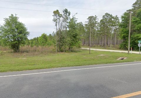 Tiny photo for 441 NE Mango Avenue, Lee, FL 32059 (MLS # 395353)