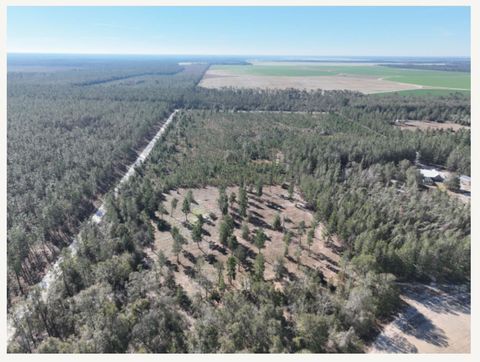 Tiny photo for 441 NE Mango Avenue, Lee, FL 32059 (MLS # 395353)