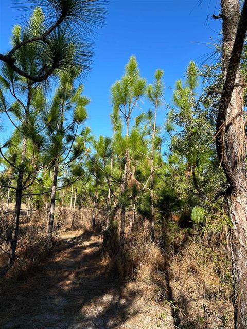 Tiny photo for 441 NE Mango Avenue, Lee, FL 32059 (MLS # 395353)