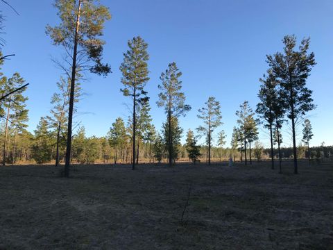 Tiny photo for 441 NE Mango Avenue, Lee, FL 32059 (MLS # 395353)