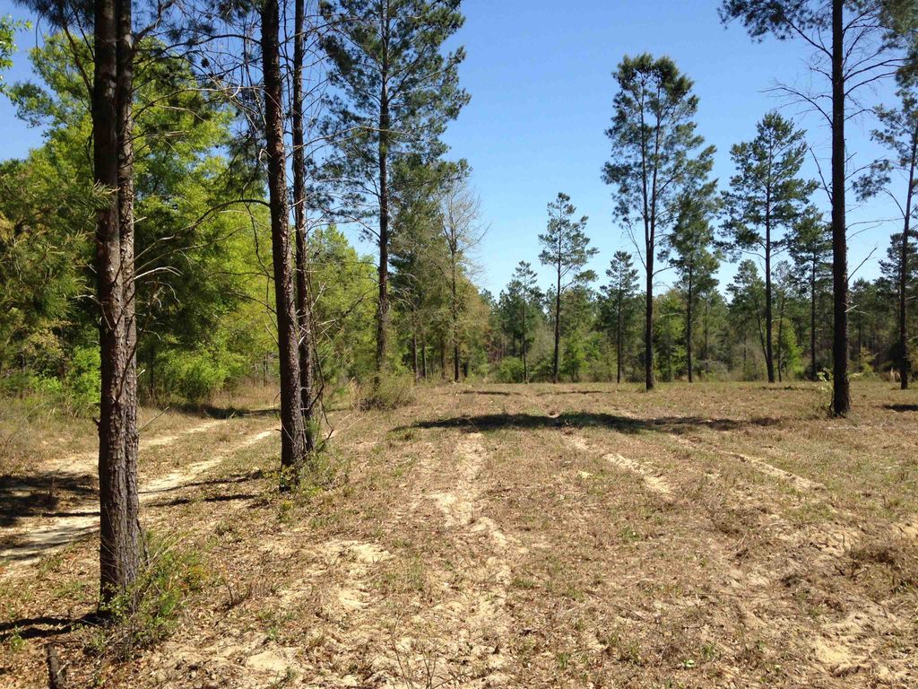 Photo of 441 NE Mango Avenue, Lee, FL 32059 (MLS # 395353)