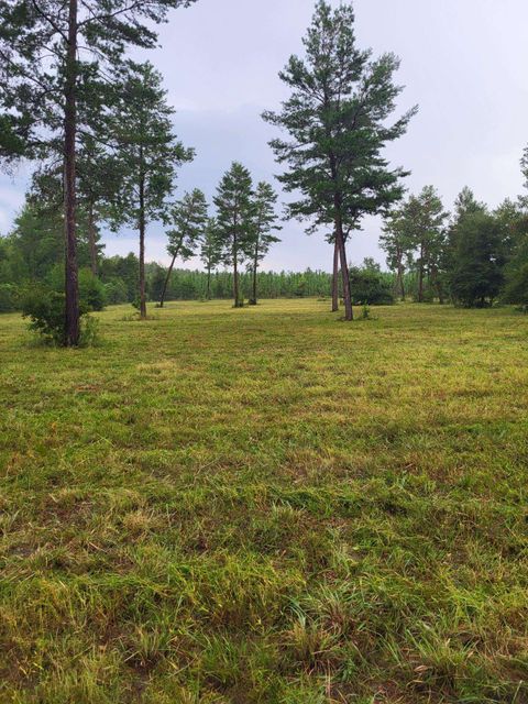 Tiny photo for 441 NE Mango Avenue, Lee, FL 32059 (MLS # 395353)