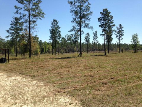 Tiny photo for 441 NE Mango Avenue, Lee, FL 32059 (MLS # 395353)