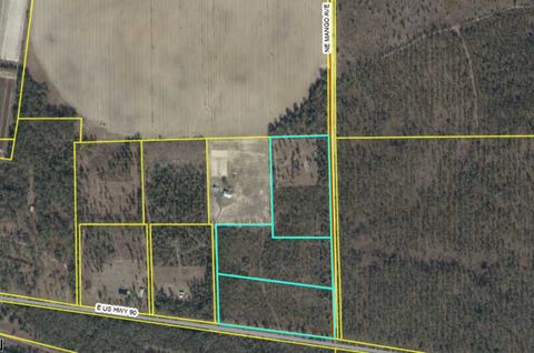 Tiny photo for 441 NE Mango Avenue, Lee, FL 32059 (MLS # 395353)