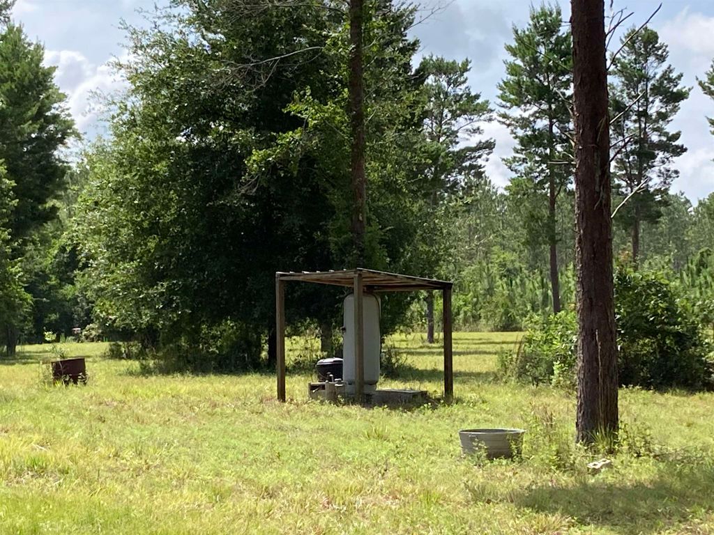 Photo of 441 NE Mango Avenue, Lee, FL 32059 (MLS # 395353)