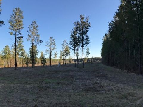 Tiny photo for 441 NE Mango Avenue, Lee, FL 32059 (MLS # 395353)