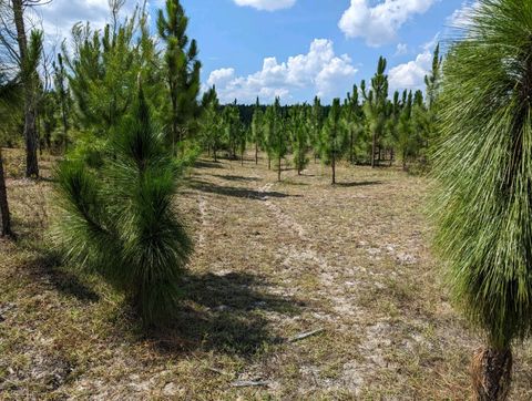 Tiny photo for 441 NE Mango Avenue, Lee, FL 32059 (MLS # 395353)