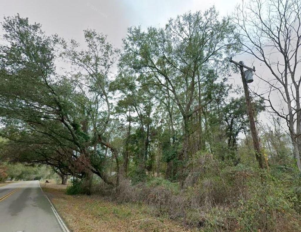 Photo of 00 Proctor Road, Tallahassee, FL 32309 (MLS # 395445)