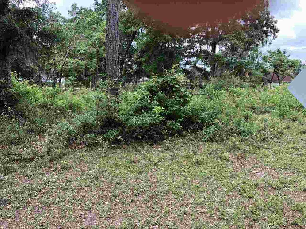 Photo of xx Hickory Avenue #4, Crawfordville, FL 32327 (MLS # 397798)