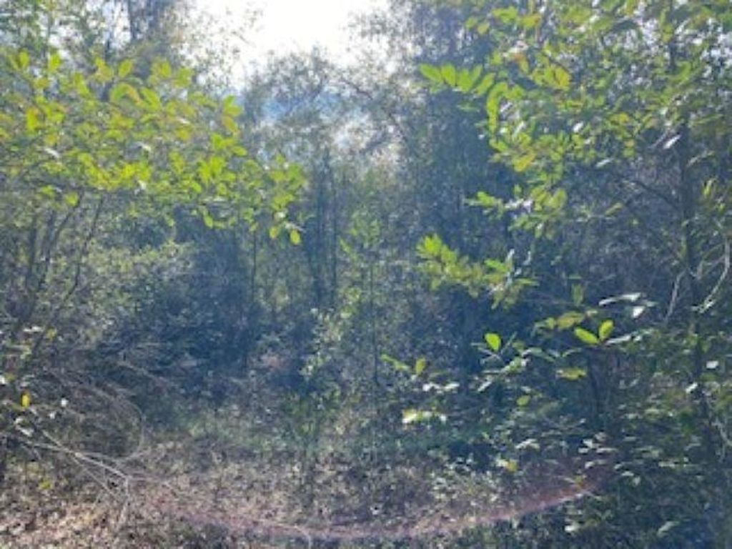 Photo of 2619 W Oak Ridge Road, Tallahassee, FL 32305 (MLS # 395607)