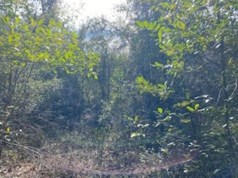 Tiny photo for 2619 W Oak Ridge Road, Tallahassee, FL 32305 (MLS # 395607)