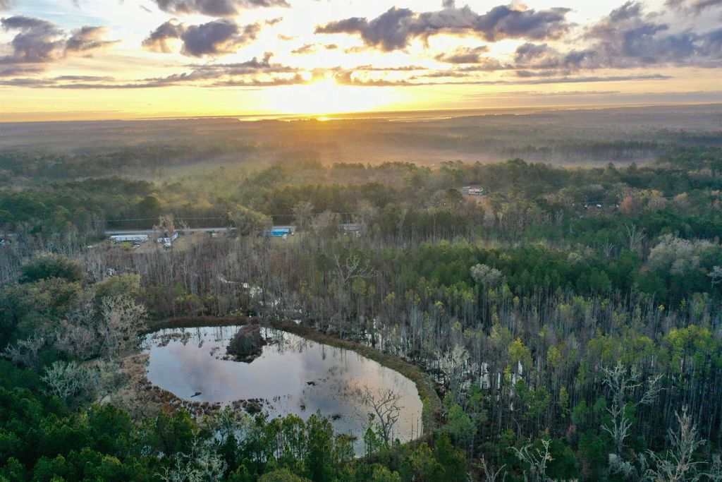 Photo of 2909 N Shellman Bluff Road #2909 SHELLMAN BLUFF, Other Georgia, GA 31331 (MLS # 397471)