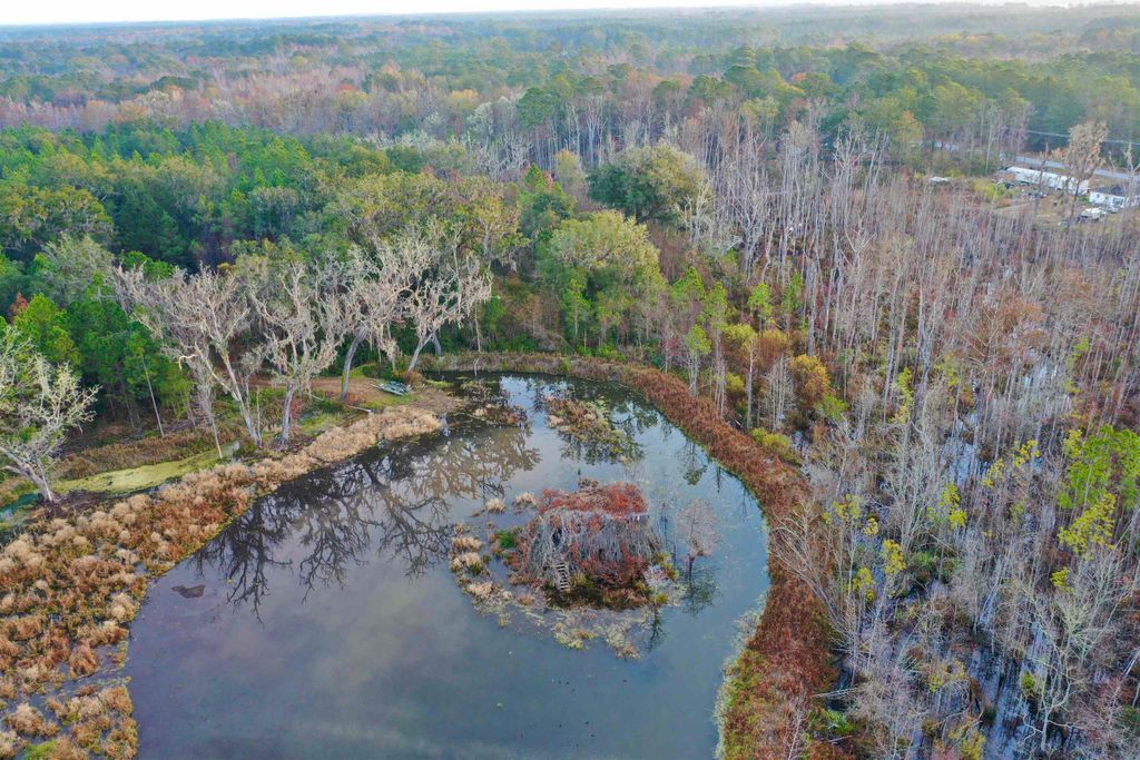 Photo of 2909 N Shellman Bluff Road #2909 SHELLMAN BLUFF, Other Georgia, GA 31331 (MLS # 397471)