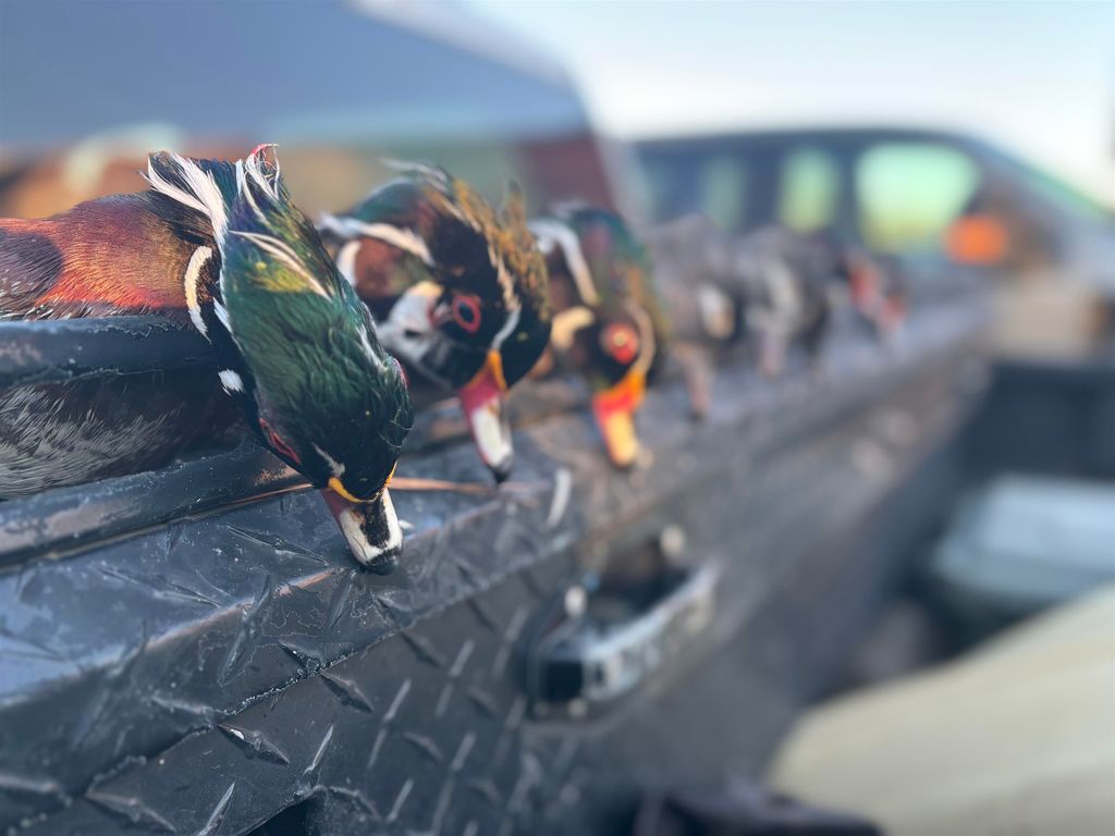 Photo of 2909 N Shellman Bluff Road #2909 SHELLMAN BLUFF, Other Georgia, GA 31331 (MLS # 397471)