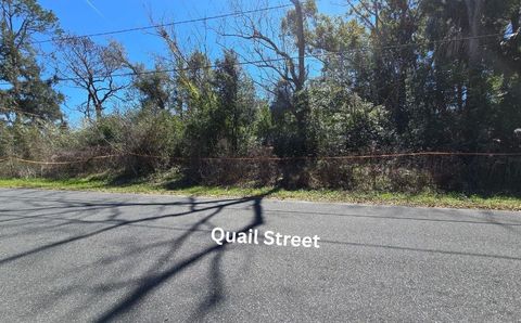 Tiny photo for 1302 S Center Street, Perry, FL 32348 (MLS # 396831)