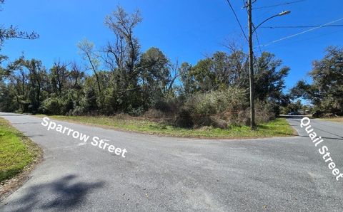 Tiny photo for 1302 S Center Street, Perry, FL 32348 (MLS # 396831)