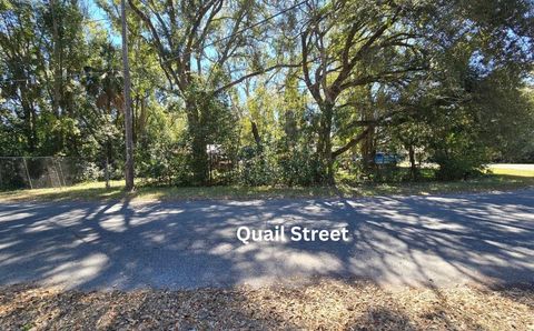 Tiny photo for 1302 S Center Street, Perry, FL 32348 (MLS # 396831)