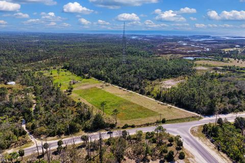 Tiny photo for 00 SW 358 Highway, Steinhatchee, FL 32359 (MLS # 399195)