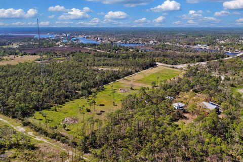 Tiny photo for 00 SW 358 Highway, Steinhatchee, FL 32359 (MLS # 399195)