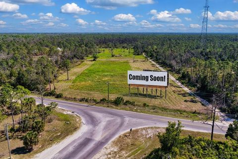 Tiny photo for 00 SW 358 Highway, Steinhatchee, FL 32359 (MLS # 399195)