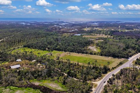 Tiny photo for 00 SW 358 Highway, Steinhatchee, FL 32359 (MLS # 399195)