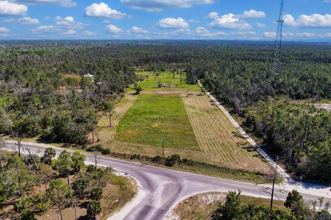 Tiny photo for 00 SW 358 Highway, Steinhatchee, FL 32359 (MLS # 399195)