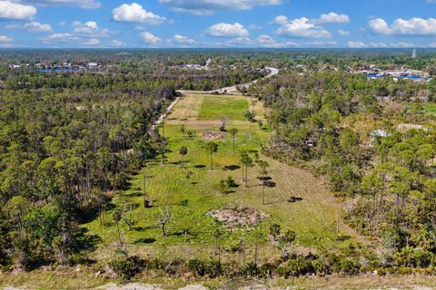Tiny photo for 00 SW 358 Highway, Steinhatchee, FL 32359 (MLS # 399195)
