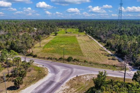 Tiny photo for 00 SW 358 Highway, Steinhatchee, FL 32359 (MLS # 399195)