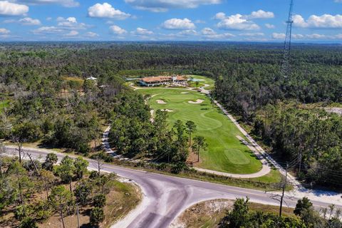 Tiny photo for 00 SW 358 Highway, Steinhatchee, FL 32359 (MLS # 399195)
