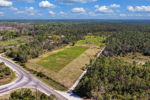 Tiny photo for 00 SW 358 Highway, Steinhatchee, FL 32359 (MLS # 399195)