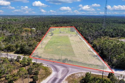 Tiny photo for 00 SW 358 Highway, Steinhatchee, FL 32359 (MLS # 399195)