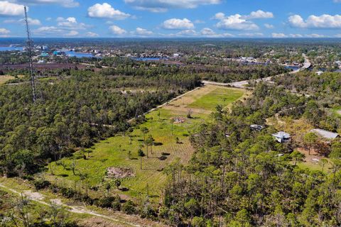 Tiny photo for 00 SW 358 Highway, Steinhatchee, FL 32359 (MLS # 399195)