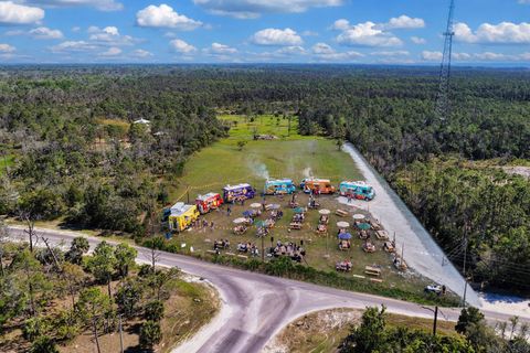 Tiny photo for 00 SW 358 Highway, Steinhatchee, FL 32359 (MLS # 399195)