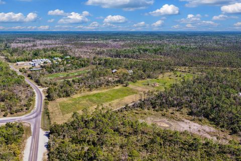 Tiny photo for 00 SW 358 Highway, Steinhatchee, FL 32359 (MLS # 399195)