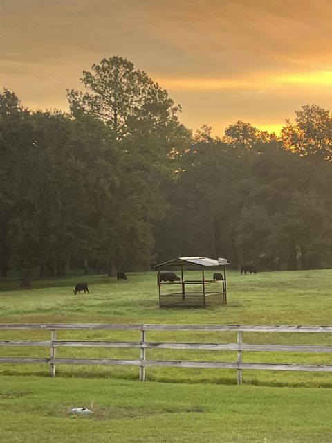 Tiny photo for 9525 Woodland Hills Way, Tallahassee, FL 32309 (MLS # 389705)