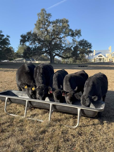 Tiny photo for 9525 Woodland Hills Way, Tallahassee, FL 32309 (MLS # 389705)