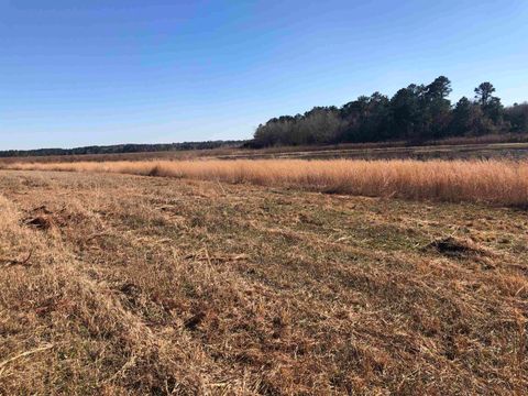 Tiny photo for 4807 Red & Sams, Tallahassee, FL 32303 (MLS # 374010)