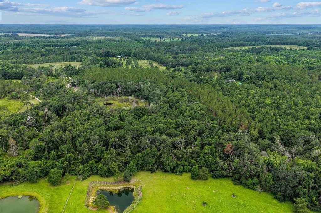 Photo of Vacant NW Coachwhip Avenue, Madison, FL 32340 (MLS # 388063)