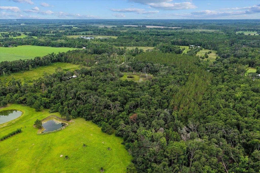 Photo of Vacant NW Coachwhip Avenue, Madison, FL 32340 (MLS # 388063)