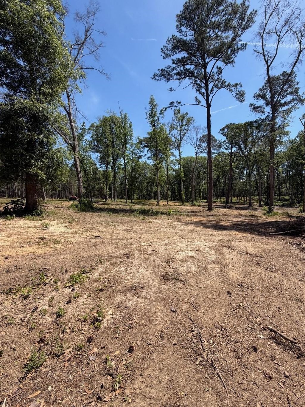 Photo of 12 Acres Collins Road, Cairo, GA 39828 (MLS # 398933)