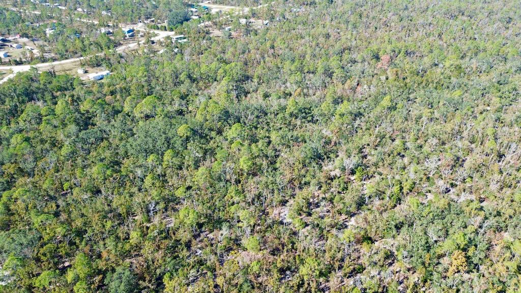 Photo of Lot 00 Clearwater Creek Lane, Perry, FL 32348 (MLS # 393349)