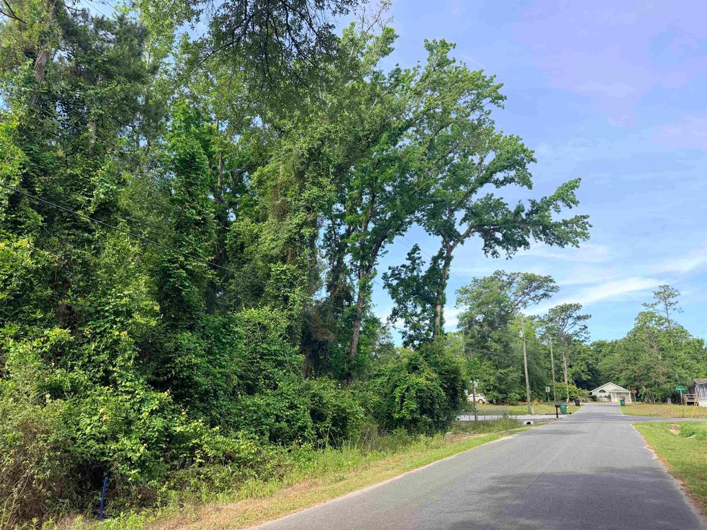 Photo of King Bee Drive, Crawfordville, FL 32327 (MLS # 399906)
