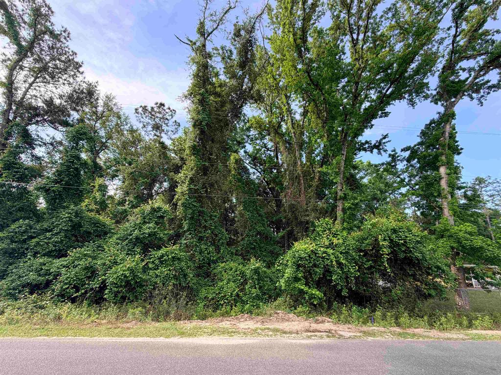 Photo of King Bee Drive, Crawfordville, FL 32327 (MLS # 399906)