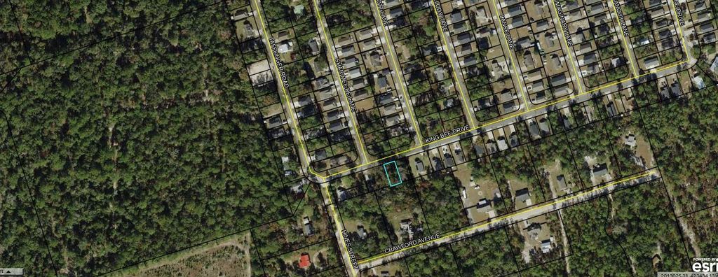 Photo of King Bee Drive, Crawfordville, FL 32327 (MLS # 399906)