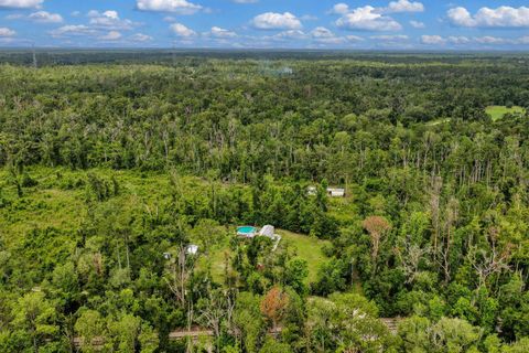 Tiny photo for 1521 T W WILSON RD RD, Perry, FL 32347 (MLS # 401642)